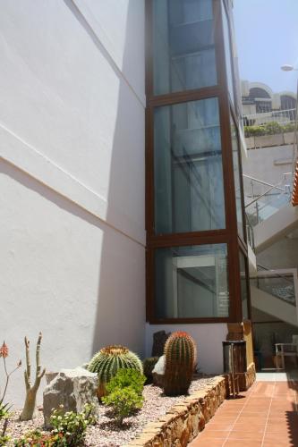 One-Bedroom Apartment del hotel Mayaguez. Foto 49