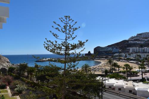 Apartamento de 1 dormitorio del hotel Mayaguez. Foto 1