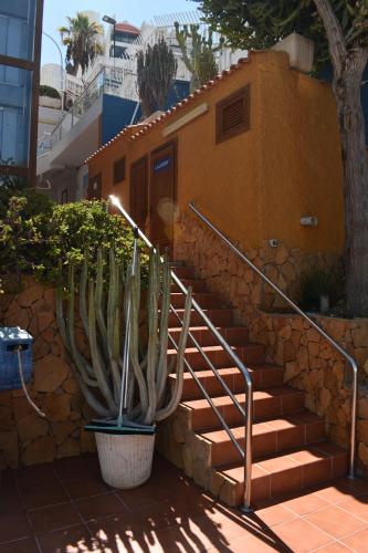 Apartamento de 1 dormitorio del hotel Mayaguez. Foto 62