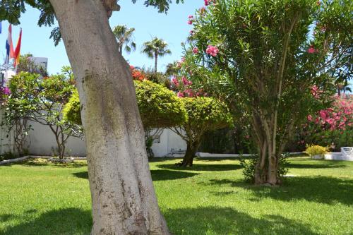 Apartamento Deluxe del hotel Don Quijote. Foto 4