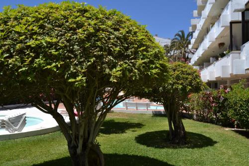 Apartamento 1 dormitorio con vistas al mar y terraza del hotel Don Quijote. Foto 2