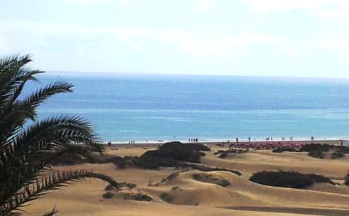 Apartamento con vistas al mar del hotel Alsol Patricio. Foto 29