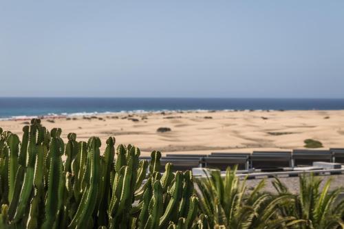 Apartamento con vistas al mar del hotel Alsol Patricio. Foto 46