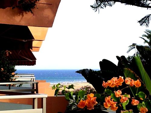 Apartamento con vistas al mar del hotel Alsol Patricio. Foto 22