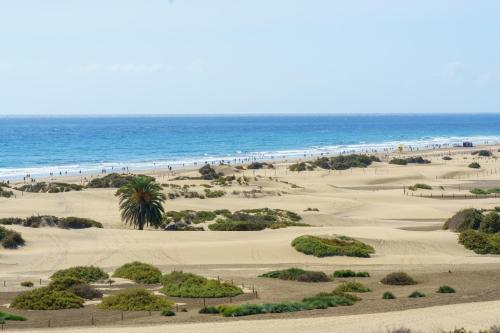 Apartamento con vistas al mar del hotel Don Palomon. Foto 6