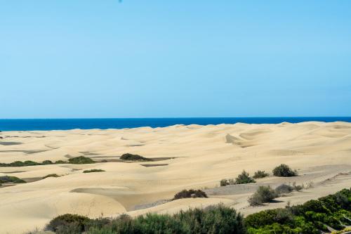 Apartamento con vistas al mar del hotel Don Palomon