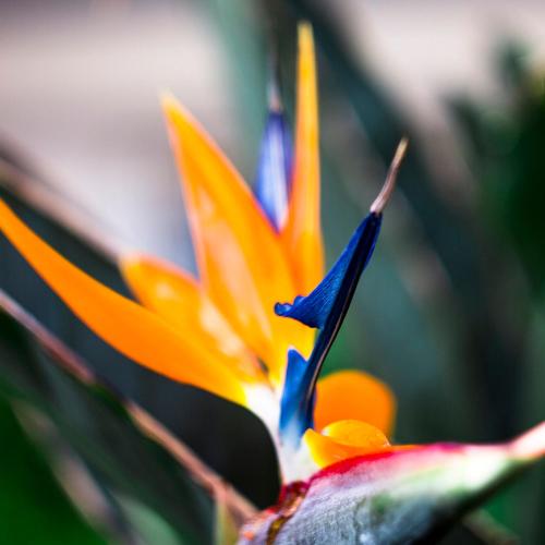 Apartamento de 1 dormitorio del hotel Taboga. Foto 2