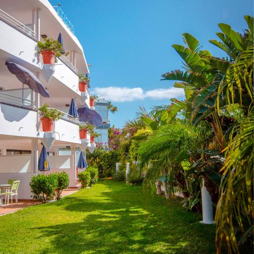 Apartamento - Planta baja del hotel Taboga. Foto 1