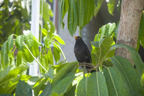 Apartamento de 1 dormitorio con vistas al mar del hotel Apartamentos El Paseo. Foto 27