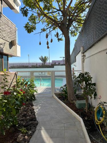 Apartamento de 1 dormitorio exterior con vistas a la piscina del hotel Apartamentos El Paseo. Foto 18