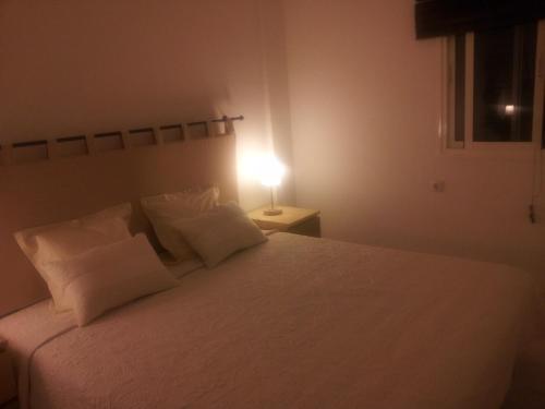 Apartamento de 1 dormitorio del hotel Tinache. Foto 51