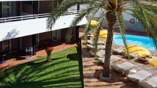 Apartamento de 1 dormitorio del hotel Jacarandas. Foto 12