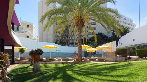 Apartamento de 1 dormitorio del hotel Jacarandas. Foto 29