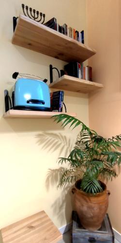 Apartamento de 1 dormitorio del hotel Alacas Sevilla. Foto 6