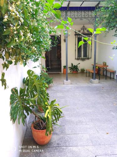 Apartamento de 1 dormitorio del hotel Alacas Sevilla. Foto 23