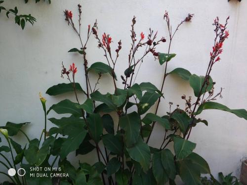 Apartamento de 1 dormitorio del hotel Alacas Sevilla. Foto 24