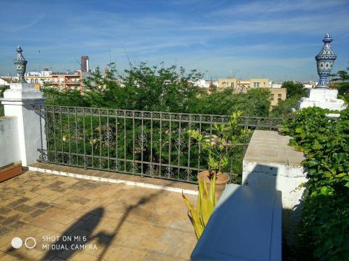 Apartamento de 1 dormitorio del hotel Alacas Sevilla. Foto 31