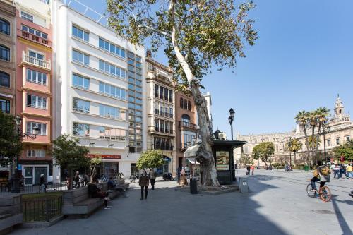 Apartamento con terraza privada - Ático - Calle Adolfo Rodríguez Jurado, 8 del hotel Diaber. Foto 20