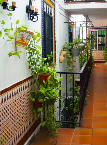 Habitación Individual con baño privado del hotel Pension Santa Maria La Blanca. Foto 4