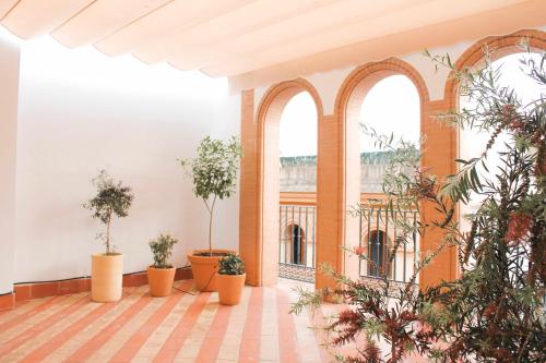 Estudio del hotel Casas Y Patios De Triana. Foto 7