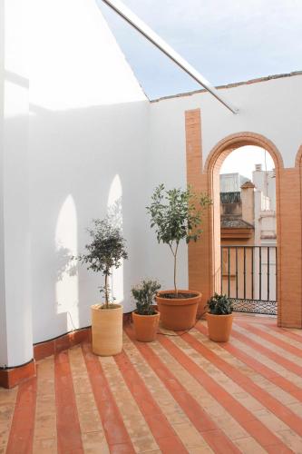 Estudio familiar del hotel Casas Y Patios De Triana. Foto 7