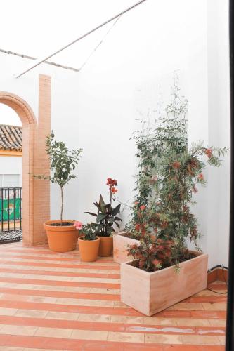 Estudio Sofá Cama incluido 1 Cama doble kitchenette del hotel Casas Y Patios De Triana. Foto 6