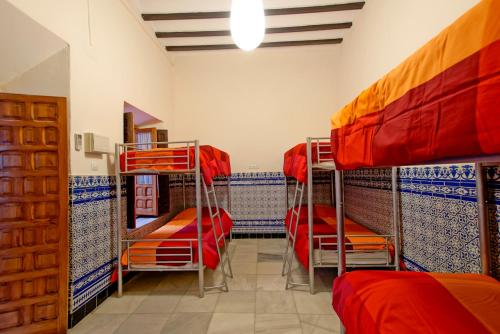 Cama individual en un dormitorio compartido femenino de 6 camas del hotel Trotamundos. Foto 1