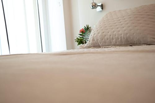 Habitación Doble con balcón y vistas del hotel Palacio Alcazar. Foto 4