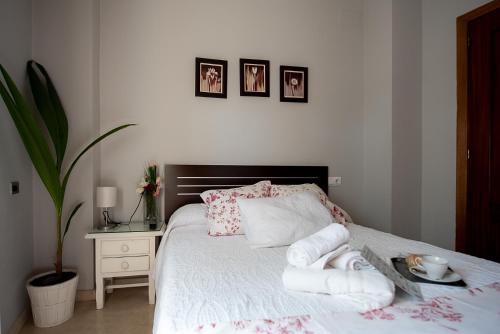 Habitación Individual con baño privado del hotel La Muralla. Foto 2