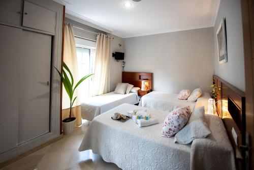 Habitación Triple con baño privado del hotel La Muralla. Foto 6