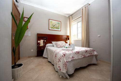 Habitación Doble con baño privado - 1 o 2 camas del hotel La Muralla. Foto 19