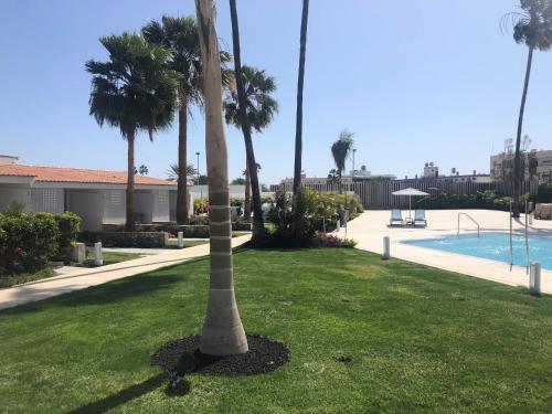 Bungalow Vista Jardín 1 habitación Sofá Cama incluido 2 Camas individuales del hotel Relaxia Los Girasoles. Foto 15