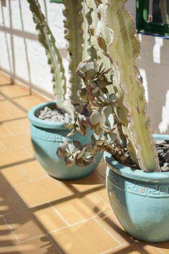 Bungalow frente a la playa del hotel Side Shore. Foto 28