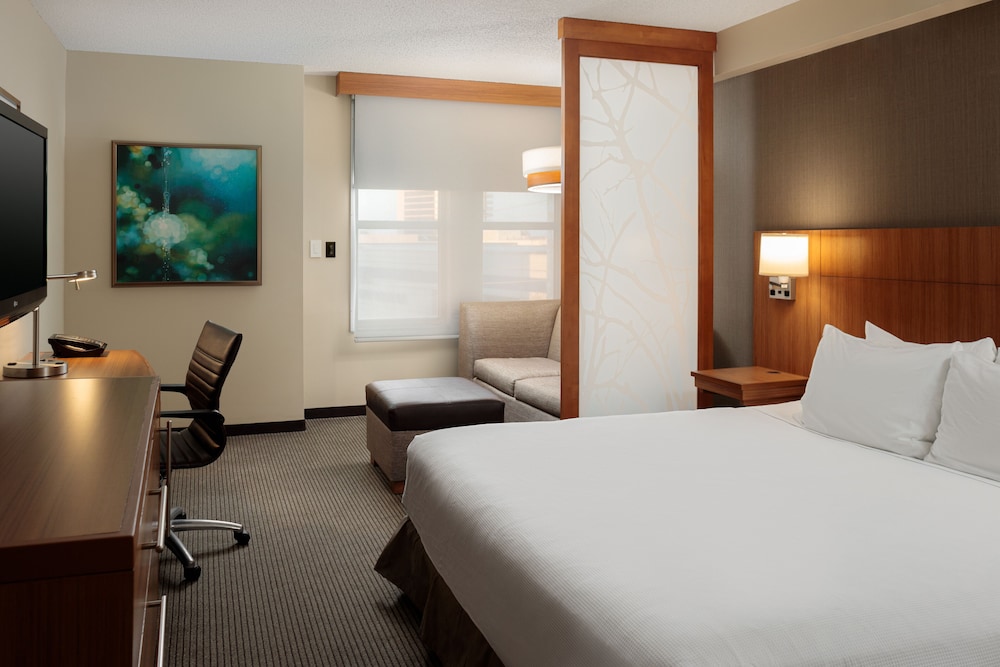 Habitación accesible con cama King/Ducha de acceso lateral (con sofá - cama) del hotel Hyatt Place New Orleans Convention Center