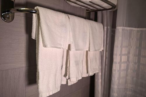 Habitación adaptada para personas con movilidad reducida, con ducha accesible en silla de ruedas - 1 cama extragrande - No fumadores del hotel Ramada By Wyndham North Bergen. Foto 9