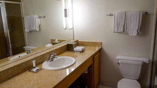 Suite con vistas a la ciudad y cama extragrande - Adaptada para personas con discapacidad del hotel Downtown Grand Las Vegas. Foto 5