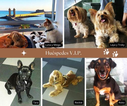 Habitación Doble Estándar - 2 camas del hotel Miramar. Foto 13