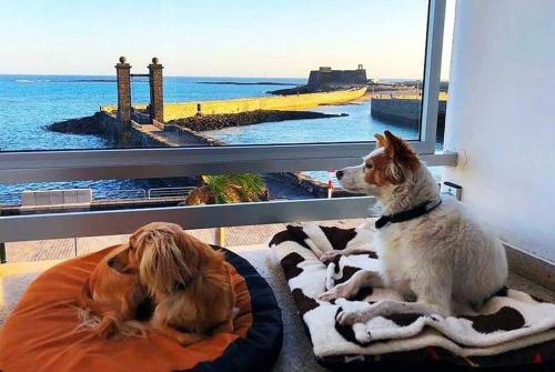 Habitación Doble Estándar con vistas al mar - 2 camas del hotel Miramar. Foto 4