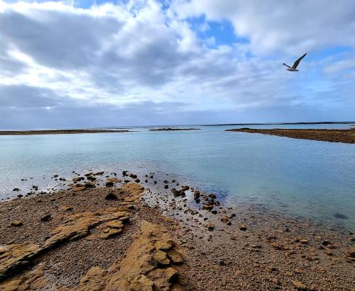 Habitación Doble Estándar con vistas al mar - 2 camas del hotel Miramar. Foto 9