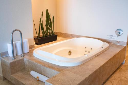 Suite con cama extragrande del hotel Azul Ixtapa Grand All Inclusive Suites and Spa. Foto 3