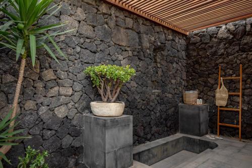 Villa The Reserve con jardín del hotel Paradisus Salinas Lanzarote. Foto 5