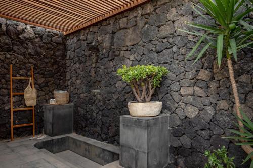 Villa Jardín Presidencial The Reserve del hotel Paradisus Salinas Lanzarote. Foto 11