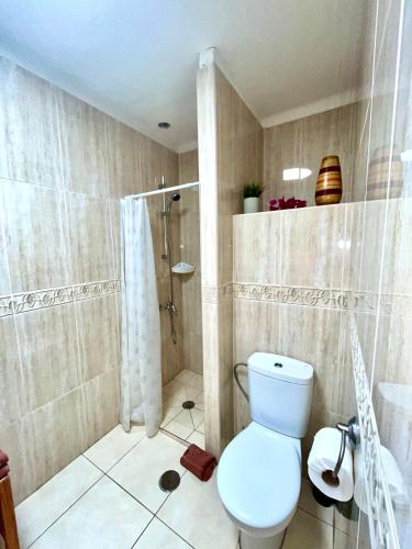 Apartamento de 1 dormitorio del hotel Casas del Sol. Foto 44