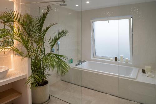 Suite Deluxe con cama extragrande del hotel Barcarola Club. Foto 11