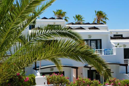 Apartamento Balcón o Terraza Con Cocina 1 habitación Sofá Cama incluido 2 Camas individuales del hotel Relaxia Lanzaplaya. Foto 7