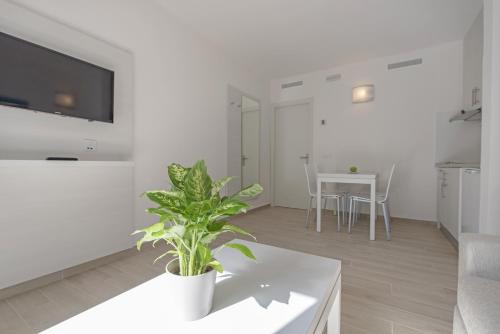 Apartamento Superior de 1 dormitorio del hotel Thb Flora. Foto 3