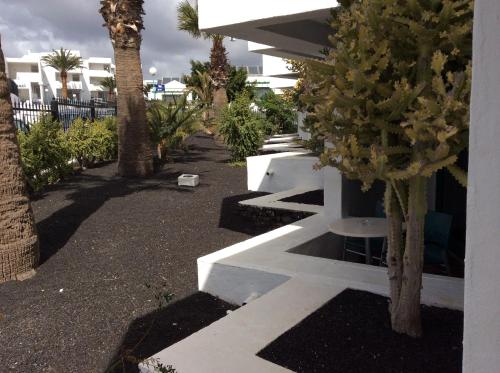 Estudio con vistas al jardín del hotel Panorama. Foto 1