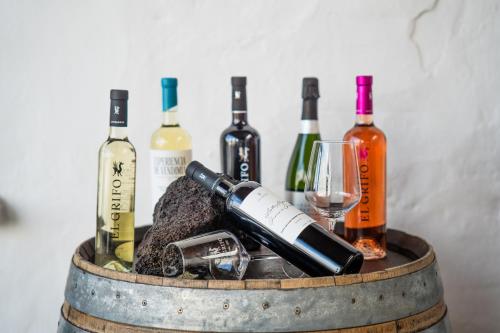 Double Room with access to Wine Tourism del hotel Caserío De Mozaga. Foto 1