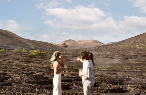 Double Room with access to Wine Tourism del hotel Caserío De Mozaga. Foto 6