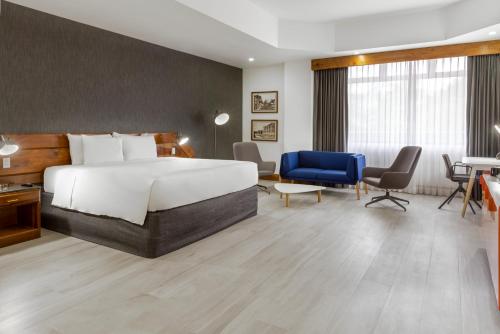 Suite Estudio con cama extragrande del hotel Radisson San Jose-costa Rica